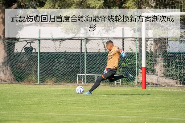 武磊伤愈回归首度合练海港锋线轮换新方案渐次成形