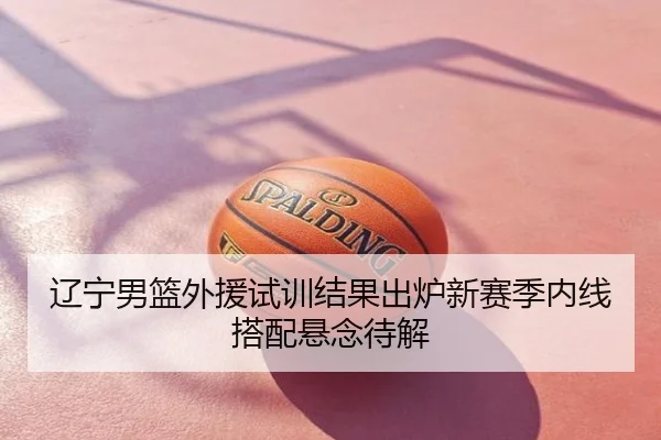 辽宁男篮外援试训结果出炉新赛季内线搭配悬念待解